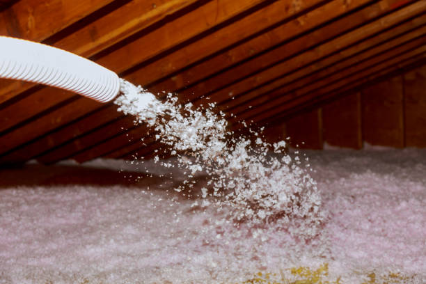 Best Insulation Installation Services in Frankenmuth, MI