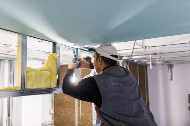Best Insulation for Specific Applications in Frankenmuth, MI