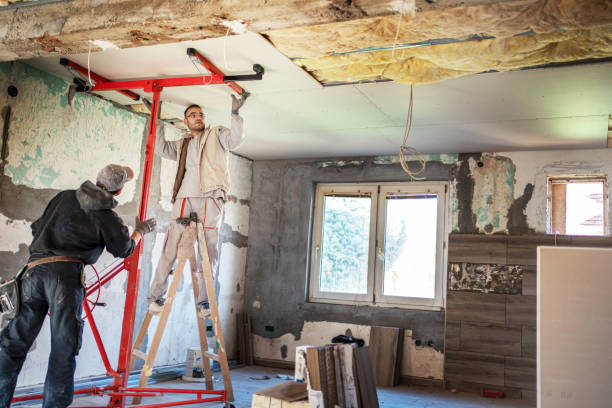 Best Insulation Maintenance and Repair in Frankenmuth, MI