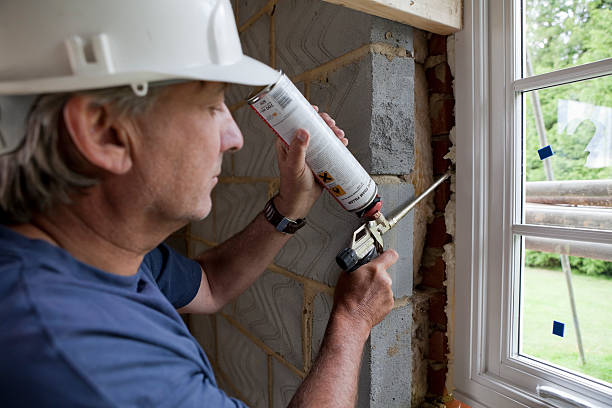 Best Insulation Maintenance and Repair in Frankenmuth, MI