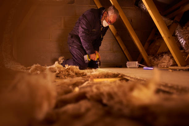 Best Residential Insulation in Frankenmuth, MI